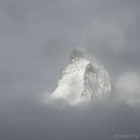 Alex Lodge Private Luxury Apartments Zermatt Exterior foto